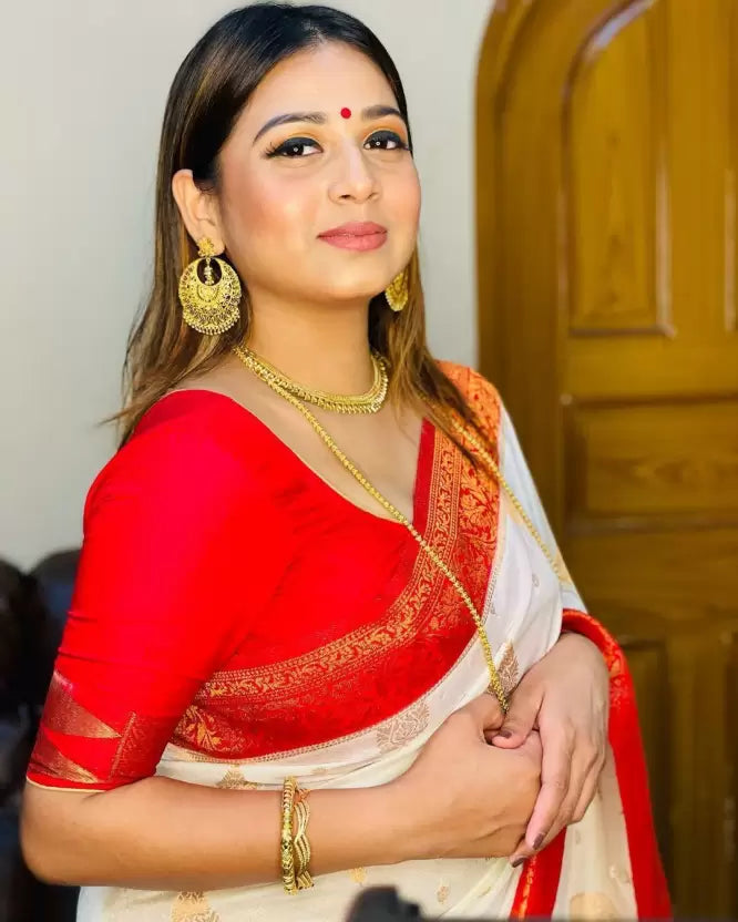 red pure silk saree