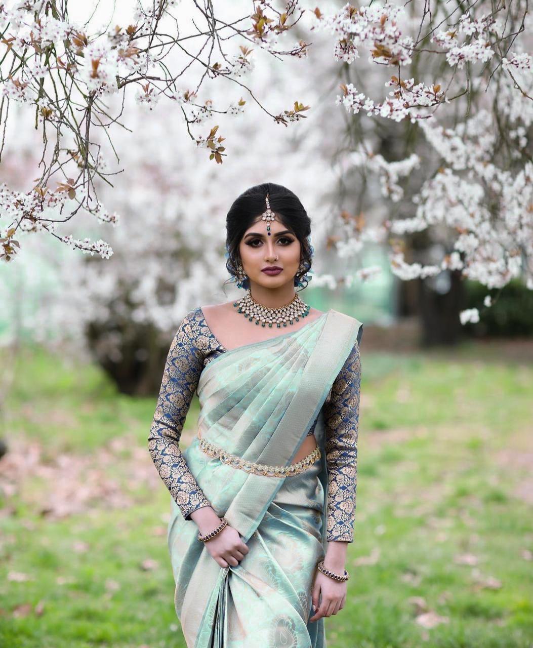 kanchi pattu silk saree for women