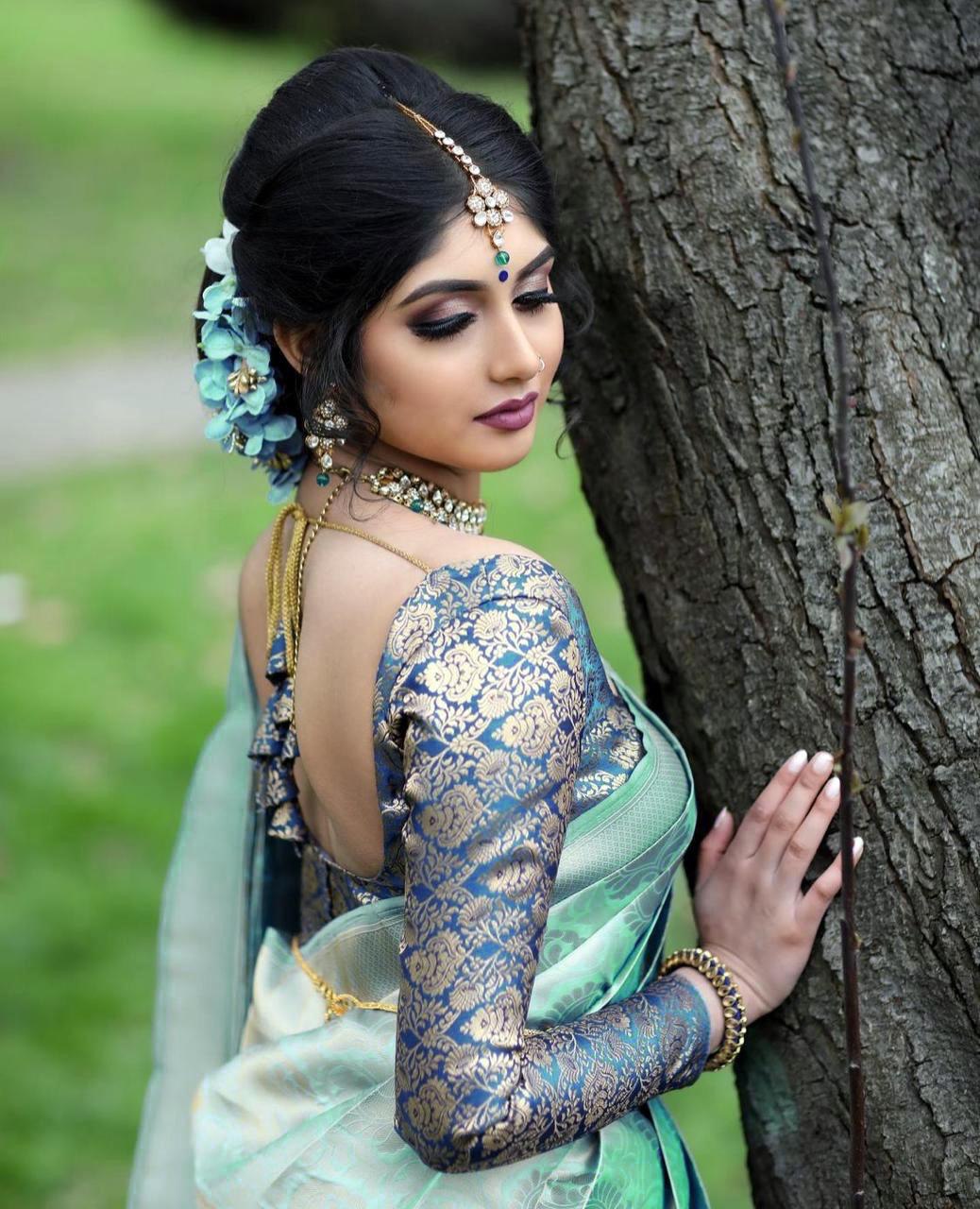 kanchipuram pattu saree with blouse
