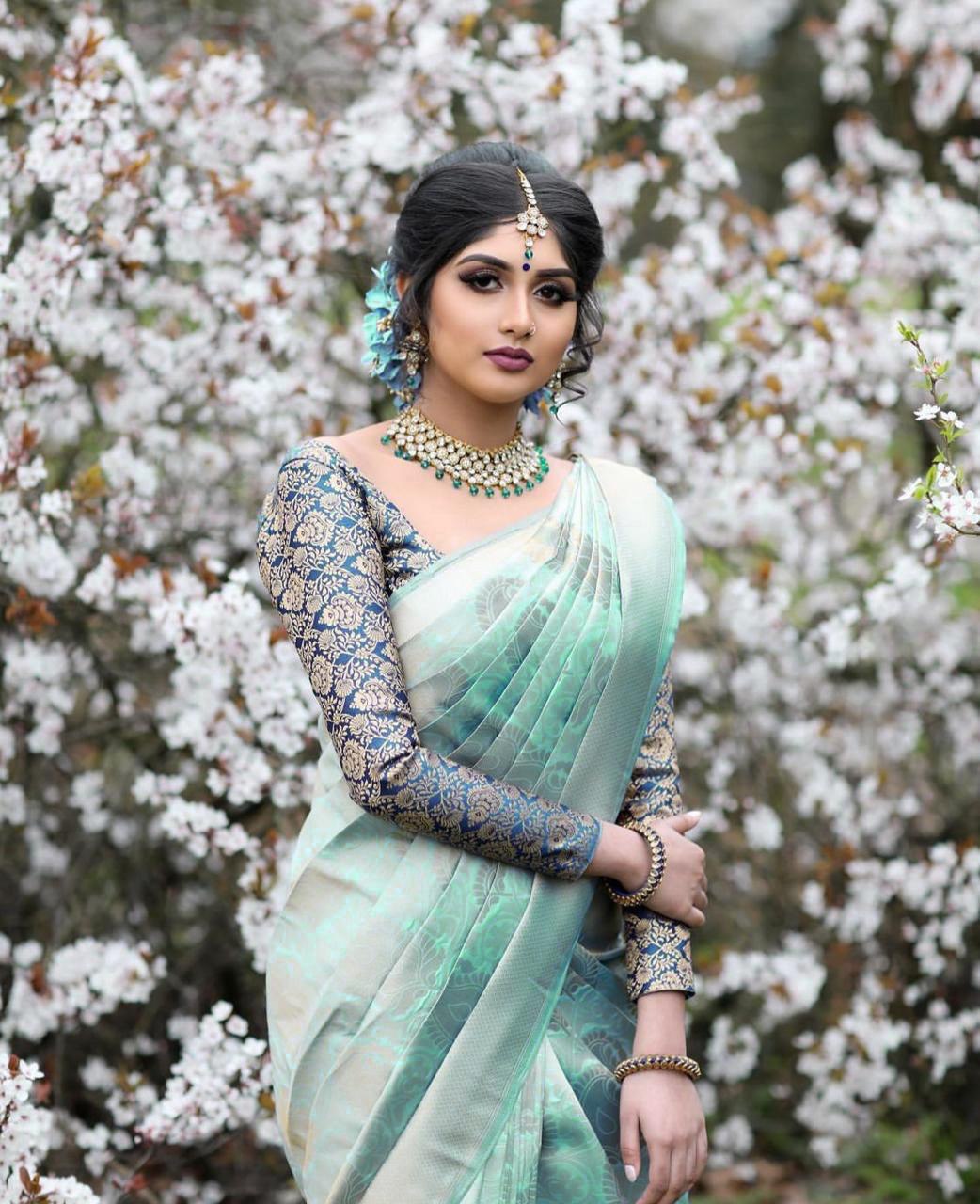 soft silk saree for women