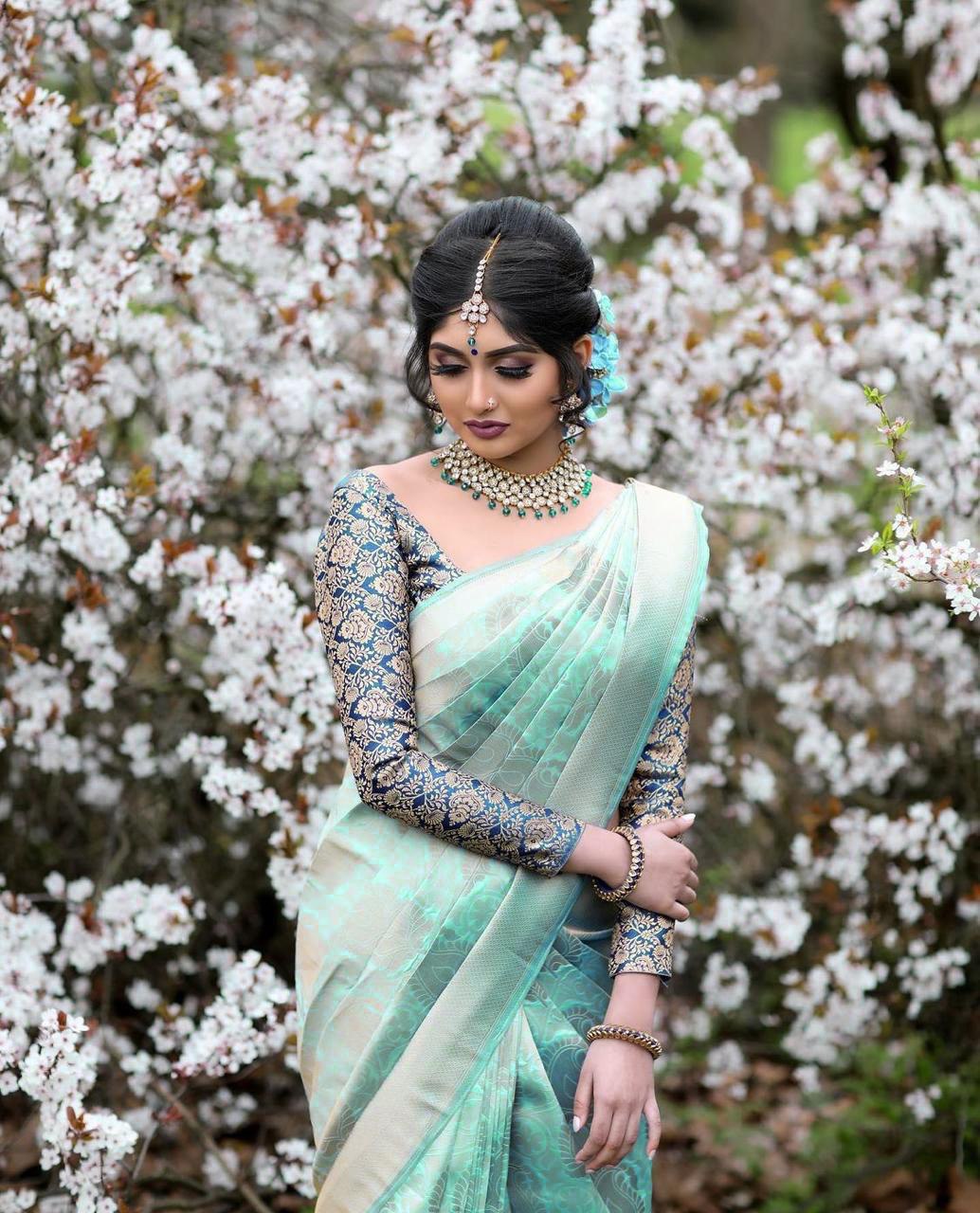 sky color kanchipuram saree
