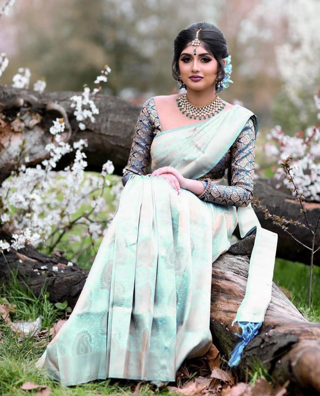 kanchi pattu kanchipuram silk saree with blouse