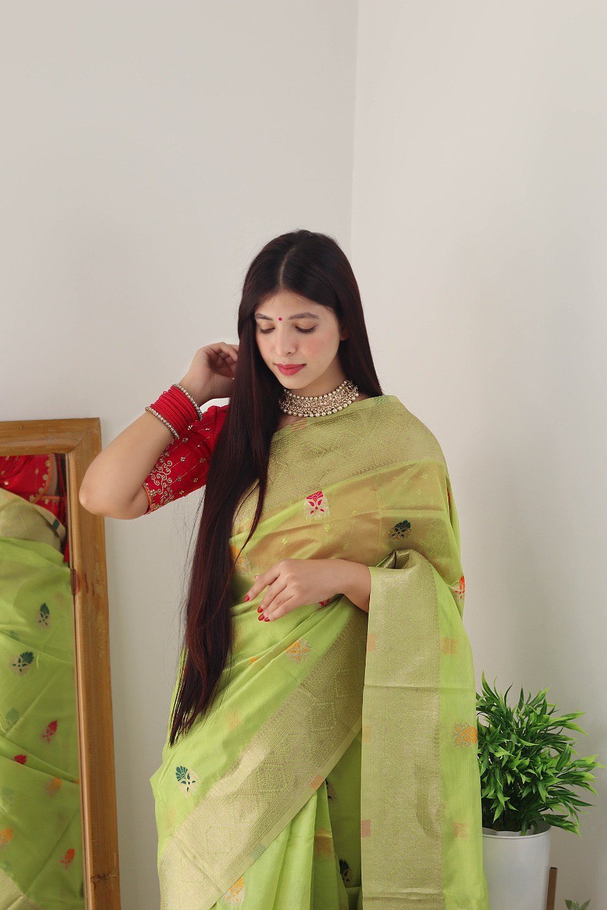 pista organza soft silk saree