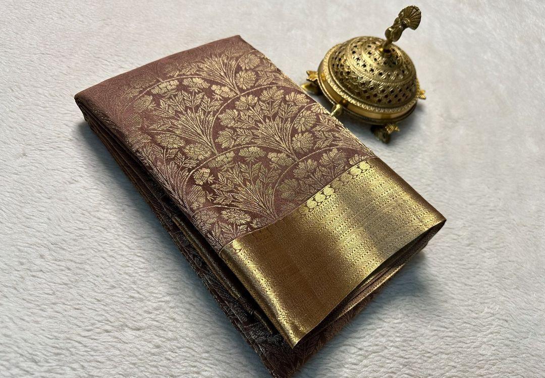 Elegant Drapes for Modern Women: Discover Mysore Silk