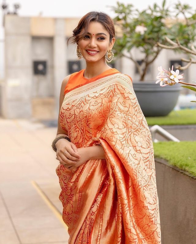 traditional pure soft silk saree