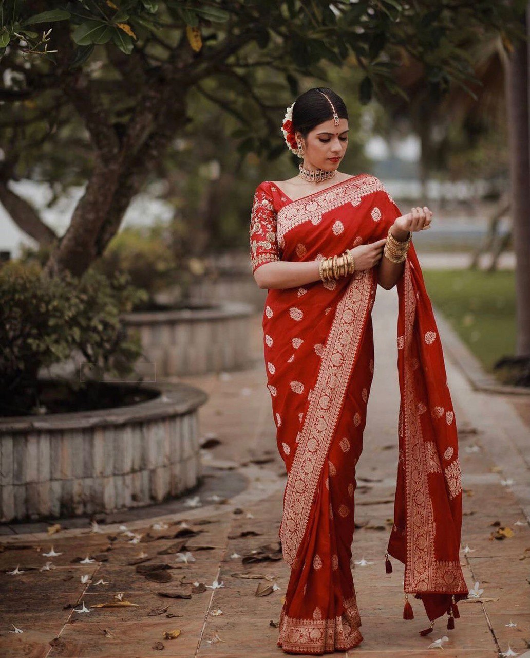 red zari weaving saree for women