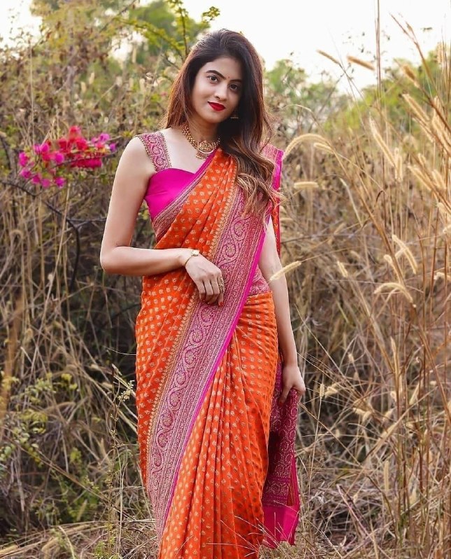 kanjivaram soft silk saree