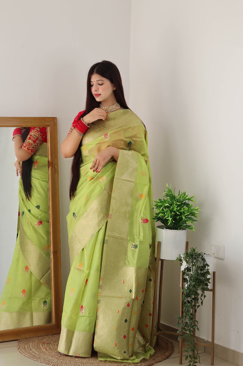 pista hand woven organza soft silk saree for women
