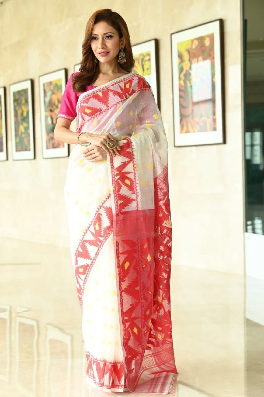 linen banarasi cotton saree